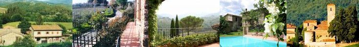 Vacation rentals in Chianti